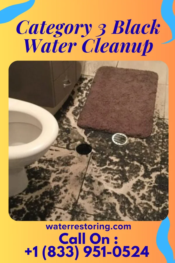 Category 3 Black Water Cleanup in Manning, IA