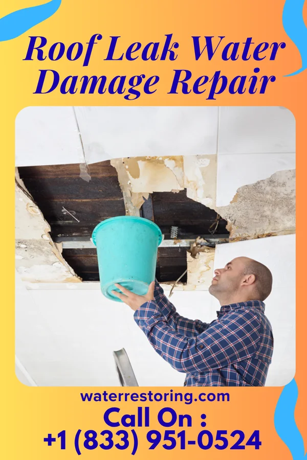 Roof Leak Water Damage Repair in Manning, IA