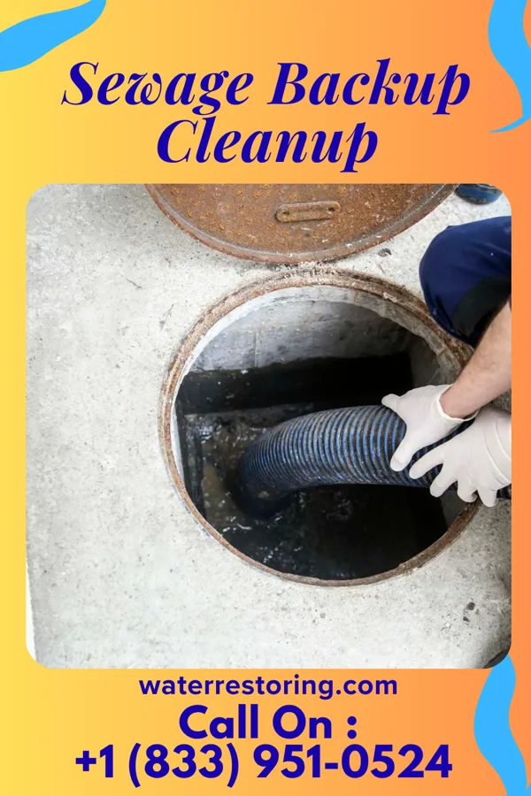 Sewage Backup Cleanup in Manning, IA
